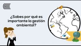 APRENDE A DISTANCIA Y CONVIÉRTETE EN ESPECIALISTA GESTIÓN AMBIENTAL DE EMPRESAS: VALORACIONES QUE NOS DAN LOS PROFESIONALES