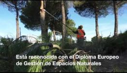 APRENDE A DISTANCIA Y CONVIÉRTETE EN ESPECIALISTA EN GESTIÓN DE ESPACIOS NATURALES: VALORACIONES QUE NOS DAN LOS EXPERTOS