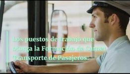 TEMARIO Y SALIDAS LABORALES DE LA FORMACIÓN CARNET TRANSPORTE DE PASAJEROS: VÍDEO INFORMATIVO