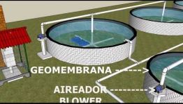 LO QUE PIENSAN LOS ESTUDIANTES SOBRE FORMARSE A DISTANCIA COMO PISCICULTOR EN AGUAS CONTINENTALES CRÍA Y ENGORDE