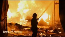 INFÓRMATE DE LAS ASIGNATURAS QUE DEBERÁS APRENDER Y LOS PUESTOS DE TRABAJO QUE PROMETE EL GRADUARSE DEL CURSO FP A DISTANCIA DE GRADO MEDIO DE EMERGENCIAS Y PROTECCIÓN CIVIL