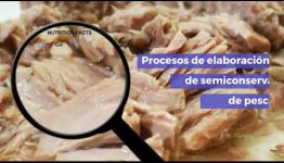 DESARRÓLLATE COMO PROFESIONAL AL TITULARTE COMO ELABORADOR DE CONSERVAS DE PRODUCTOS DE LA PESCA: TEMARIO Y SALIDAS PROFESIONALES DEL CURSO