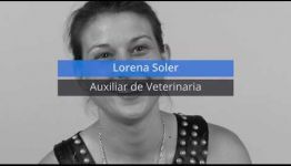 LO QUE COMENTAN LOS ALUMNOS SOBRE APRENDER A DISTANCIA Y CONVERTIRTE EN AUXILIAR VETERINARIO