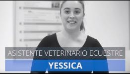 ¿QUIERES CRECER PROFESIONALMENTE COMO AUXILIAR VETERINARIO ECUESTRE?: ENTÉRATE LO QUE DICEN LOS ESPECIALISTAS