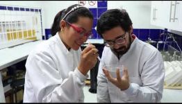 APRENDE Y CONSIGUE EL TÍTULO EN LA FORMACIÓN PROFESIONAL EN QUÍMICA AMBIENTAL: VALORACIONES QUE NOS DAN LOS TITULADOS