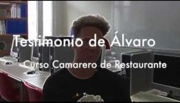 LO QUE OPINAN LOS EXPERTOS SOBRE EDUCARSE A DISTANCIA COMO CAMARERO DE RESTAURANTE BAR